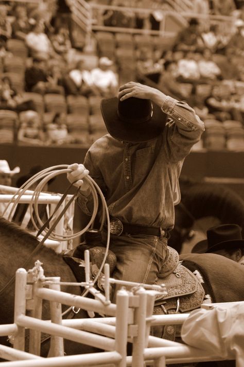 Joel Bach - Team Roper Team Ropers Rodeo Cowboys, Rancho Life, Rodeo Photography, Roping Horse, Horse Senior Pictures, Cowboy Photography, Team Roper, Rodeo Cowboys, Cowboy Pictures