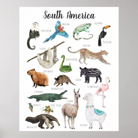 $24.95 | South American Animals | Education Classroom Poster #backtoschool #classroom #homeschool #education #homeschoolsupplies #nurserydecor #watercolor #animalartprint #educationalposter #southamericananimals Htv Designs, Htv Ideas, Spanish Heritage, American Animals, Animal Education, Thematic Units, Animal Activities, Birthday Party Planning, Australian Animals