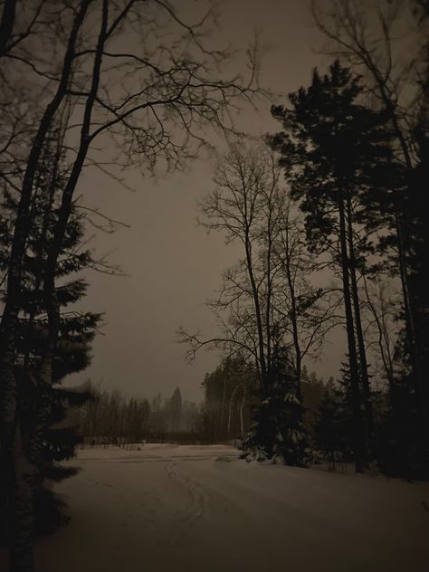 #forest #winter #night #aesthetic #dark #moody #nature #sad Winter Night Aesthetic, Night Aesthetic Dark, Moody Nature, Dark Naturalism, Night Forest, Dark Winter, Winter Wallpaper, Winter Scenery, Aesthetic Dark