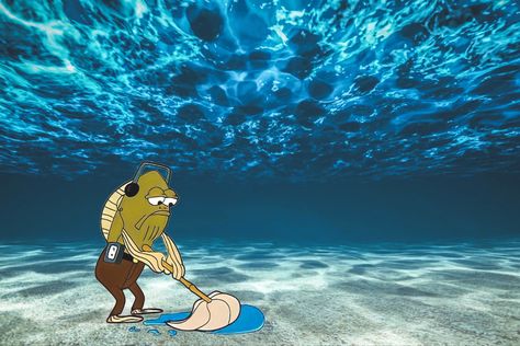 #spongebob #myleg #mopping #reaction #reactionimage Spongebob My Leg Guy, Funny Computer Backgrounds, Pc Wallpaper Full Hd, Funny Computer Wallpaper, Cool Wallpapers For Laptop, Spongebob Background, Pc Desktop Wallpaper, Meme Background, Not Musik