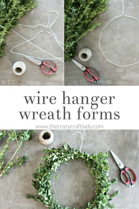 DIY boxwood wreaths - simple winter wreaths using a wire hanger wreath form Wire Hanger Wreaths Diy, Christmas Wreath Made From Wire Hanger, Christmas Wreaths Diy Easy Wire Hangers, Diy Wreath With Wire Frame, Diy Simple Wreath, Crafts With Wire Hangers, Hanger Wreath Diy Christmas, Simple Diy Wreath, Wreath Frame Diy