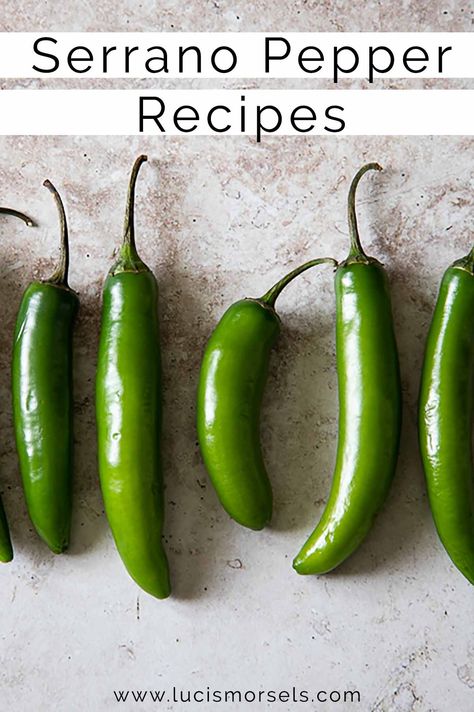 Enjoy each of these serrano pepper recipes - sauces, pizzas, salsas, and other yummy dishes using that spicy kick! Salsa With Serrano Peppers, Roasted Serrano Pepper Recipes, Serrano Peppers Recipes, Recipes Using Serrano Peppers, Seranno Pepper Recipe, Stuffed Serrano Pepper Recipes, Serrano Pepper Recipes Dishes, Serrano Pepper Jelly Recipe, Serrano Hot Sauce Recipe