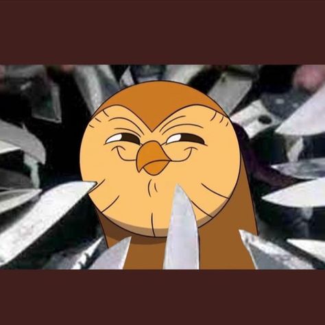 Hooty from The Owl House surrounded by knives reaction meme by @BackOnEtheria on Twitter Hooty The Owl House Cursed, Owl House Memes Hilarious, Watching And Dreaming The Owl House, The Owl House Funny, Owl House Watching And Dreaming, Owl House Funny, Hooty The Owl House, Owl House Memes, Heather Duke