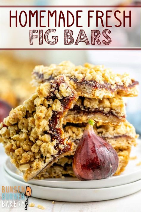 Fig Recipes Dessert, Fig Recipes Fresh, Fig Bar, Oatmeal Crust, Fig Dessert, Rodjendanske Torte, Fig Cookies, Fig Newtons, Fig Bars