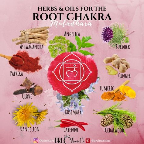 Earth Spirituality, Menstrual Symptoms, Spiritual Learning, Natural Aphrodisiac, Healing Methods, Different Types Of Meditation, The Root Chakra, Manipura Chakra, Chakra Work