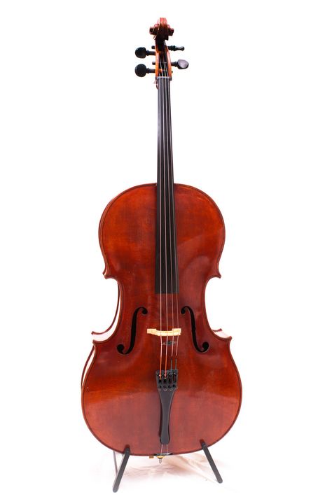 This one's a cello, but nonetheless still an amazing instrument. Violin Family, Cello Music, Classical Period, Dream Music, Cellos, Studio Lights, Double Bass, Noise Makers, Hive Mind