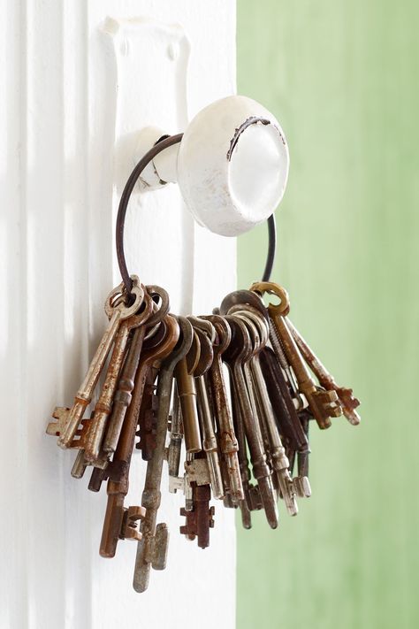 Flat levered keys were used for doors in the U.S. through the 1940s. Now, they retail for $1 each. Large brass versions with fancy bows (the part you turn) and bits (the part that fits into the lock) can cost $10. Tip: When shopping online, also try the search term "skeleton key." Start collecting: keyboogie.etsy.com   - CountryLiving.com Vintage Keys Decor Ideas, Key Collection Display, How To Display Old Keys, Skeleton Key Display Ideas, Vintage Keys Decor, Key Ring, Displaying Skeleton Keys, Old Keys Wont Open New Doors, Skeleton Key Crafts