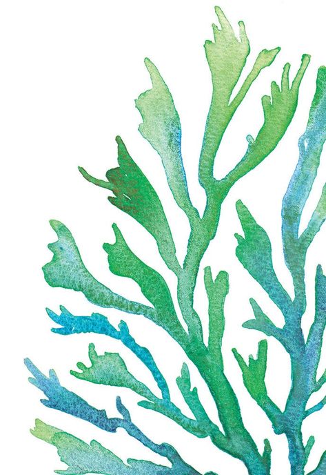 Living by the ocean provides me with constant inspiration for my paintings.  I love to paint watercolor seaweeds in beautiful hues. This is an Instant Download of one of my original paintings. This piece is from an original watercolor painting of mine. You can watch me creating it on my Instagram account: @cindylaneart No waiting by your letterbox - these files are ready to download immediately once your payment has cleared. Save time, worry and  money on shipping! ------------------------------ Seaweed Painting, Coral Painting, Coral Watercolor, Coral Art, Lino Art, Painting Beach, Paint Watercolor, Watercolor Ocean, Watercolor Projects