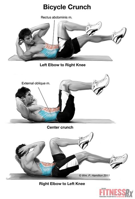 Bicycle Crunch Your Way To Great Abs | FitnessRX for Men Bodyweight Workout Routine, Core Strength Exercises, Crunches Workout, Ab Workout Men, Plank Exercises, Killer Abs, Abs Training, Bicycle Crunches, Best Ab Workout