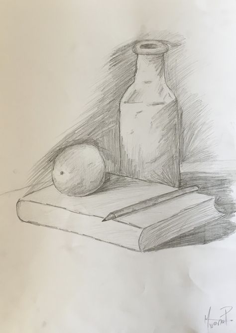 still life Easy Drawings Still Life, Still Life Drawing For Beginners Easy, Still Life Pencil, Easy Still Life Drawing, Still Life Sketch, Life Sketch, Bottle Drawing, Skeleton Drawings, Animation Art Sketches