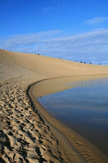 Tottori Sand Dunes Japan, Tottori Japan, Desert Scenes, Shimane, Tottori, King Of Hearts, Okayama, Japan Photo, The Dunes