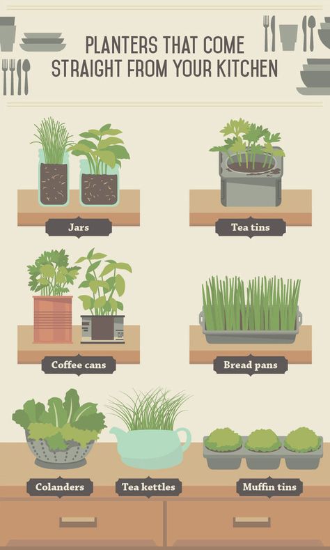 The Essential Guide To Growing Veggies Indoors. No Garden Needed. Kebun Herbal, Taman Diy, Growing Food Indoors, Indoor Vegetables, Potatoes Carrots, Indoor Vegetable Gardening, Desain Lanskap, Growing Veggies, 카페 인테리어 디자인