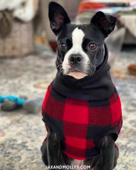 Red turtleneck sweater