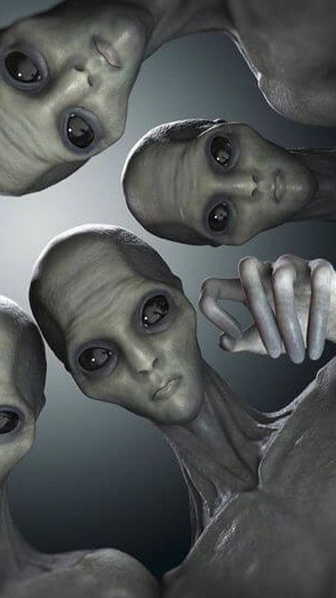 Aliens Pictures, Aliens Wallpaper, Alien Photo, Alien Love, Alien Wallpaper, Alien Pictures, Scary Alien, Egyptian Goddess Art, Ancient Astronaut Theory