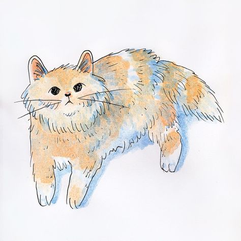 Günseli Sepici on Instagram: “It’s cat time 🐈🕣🐈🕣” Cat Illustrations, Dog Artwork, Cats Illustration, Fluffy Cat, Cat Illustration, Cat Drawing, Society6 Art, Cute Illustration, Animal Illustration