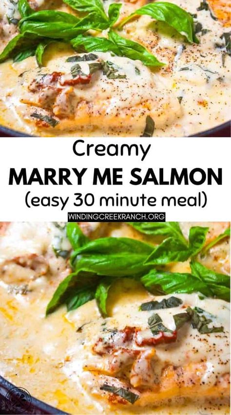 Marry Me Salmon Recipe, Marry Me Salmon, Salmon With Cream Sauce, Tomato Parmesan, Parmesan Salmon, Best Salmon Recipe, Tomato Cream Sauce, Sauce For Salmon, 30 Minute Meals Easy