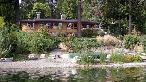 Shoreline Restoration Options Lake Landscaping, Lakeside Garden, Lakeside Beach, Acre Homestead, Natural Swimming Ponds, Lake Washington, Sustainable Landscaping, Swimming Pond, Pond Landscaping