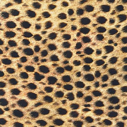 Cheetah Skin, Cotton Lawn Fabric, Leopard Fabric, Animal Print Fabric, Cheetah Animal, Fabric Pictures, Lawn Fabric, Cat Fabric, Leopard Spots