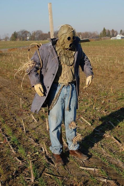 Scarecrow Cosplay, The Scarecrow, Last Halloween, Halloween Scarecrow, Costume Tutorial, Diy Halloween Costume, Creative Costumes, Funny Costumes, Halloween Inspo