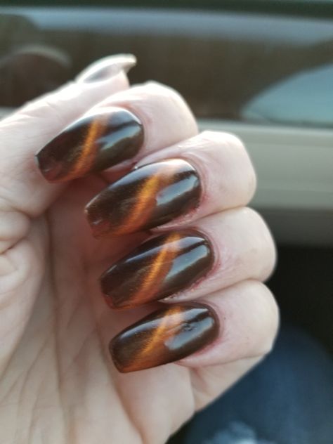 Amber cat's eye nails. Tigers Eye Acrylic Nails, Tiger Eye French Nails, Brown Tiger Eye Nails, Dark Brown Cat Eye Nails, Tiger Eye Nails Design, Orange Cateye Nails, Black Amber Nails, Brown Cats Eyes Nails, Tigers Eye Nails