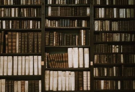 Academia Aesthetic Wallpaper, Dark Academia Aesthetic Wallpaper, Lots Of Books, Dark Academia Wallpaper, Classic Academia, Dark Acadamia, Hogwarts Aesthetic, Academia Wallpaper, Slytherin Aesthetic