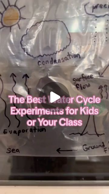 Sean Connolly on Instagram: "These are my favorite water cycle activities. Low prep, easy and engaging for students. Let me know what is your favorite! #watercycle #science #scienceexperiment #scienceactivity #scienceisfun #schoolhack #teacherhack #teachersfollowteachers #teachersofig #teachersofinstagram #teacherlife #classroom" Science Experiments, Water Cycle Activity, Water Cycle Experiment, Water Cycle Activities, Water Cycle, What Is Your Favorite, Teacher Hacks, School Hacks, Science Activities