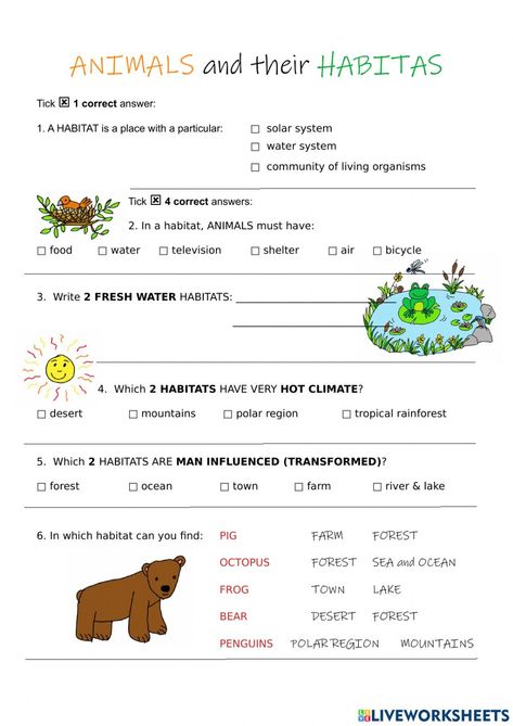 Animals And Habitats Activities, Animals Needs Worksheet, Animal Habitat Worksheet, Habitat Worksheet, Teaching Habitats, Habitat Activities, Third Grade Worksheets, Vertebrates And Invertebrates, School Live