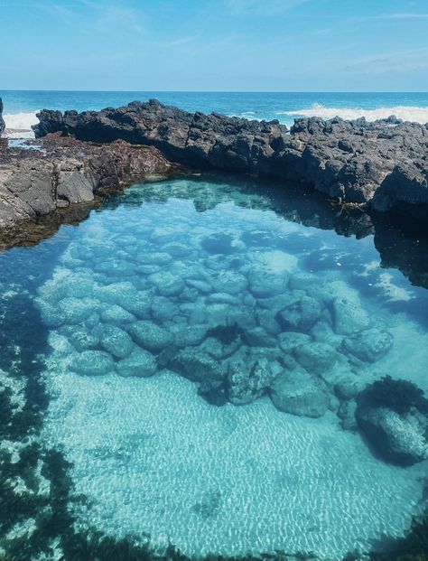 how GORGEOUS is this rockpool!? Seaside Pictures, Self Care Bullet Journal, Tide Pools, Oyster Shells, Rock Pools, 3d Art, Art Inspo, Pool, Water