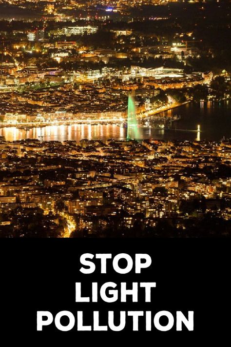 How to Stop Light Pollution Minimal Lighting, Starry Nights, Nocturnal Animals, Light Pollution, Lighting Options, Outdoor Light Fixtures, Stop Light, Create Awareness, Lamp Socket