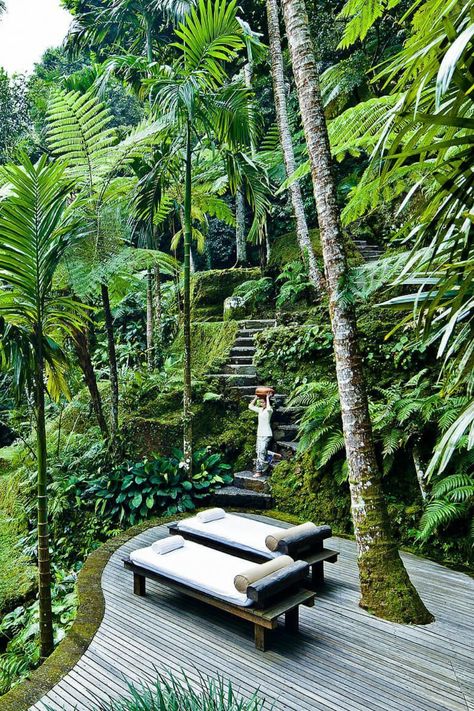 Como Shambhala Estate, Como Shambhala, Tenda Camping, Voyage Bali, Wellness Hotel, Bali Travel, Tropical Garden, Ubud, Hotel Spa