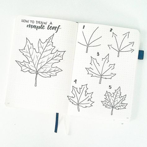 650 Likes, 9 Comments - Liz • Bullet Journal (@bonjournal_) on Instagram: “"How To Draw A Maple Leaf" Because Autumn is almost here and you (and your beautifully decorated…” Leaves Doodle, Leaf Drawing, Bullet Journal Themes, Bullet Journal Art, Journal Themes, Arte Inspo, Arte Sketchbook, Bullet Journal Inspo, Bullet Journal Doodles