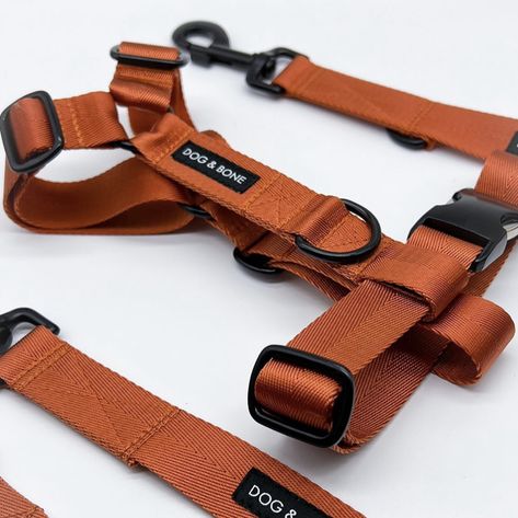 Custom made dog harness in copper orange and black hardware Dog Mattress, Custom Dog Harness, Dogs Clothes, Dog Equipment, Cat Leash, Dog Harnesses, Dog Leashes, Cat Harness, Dog Gear