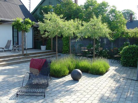 Scandinavian Garden, Townhouse Garden, Front Landscaping, Pear Tree, Have Inspiration, Contemporary Garden, Outdoor Inspirations, Nature Garden, Gorgeous Gardens