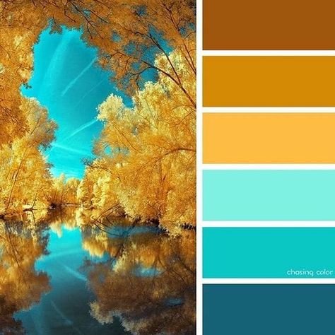 2020 Fall Decor Color Combinations and Where to Find Them by CountyRoad407.com #FallDecor #SeasonalDecorating #FallColors #FallDecorating #CountyRoad407 Autumn Color Combinations, Fall Color Combinations, Color Catalog, Color Schemes Colour Palettes, Palette Inspiration, Design Theme, Autumn Nature, Design Seeds, Color Palette Design