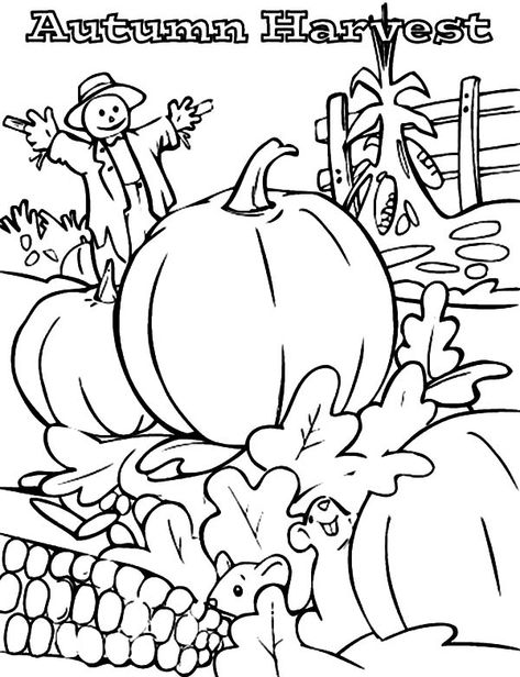 How To Draw Harvests Coloring Pages : Coloring Sun Berenstain Bears Coloring Pages, Vintage Halloween Coloring Pages Free Printable, Bernstein Bears, Disney Halloween Coloring Pages, Pumpkin Coloring Sheet, Autumn Coloring Pages, Halloween Coloring Pictures, Fall Coloring Sheets, Free Halloween Coloring Pages