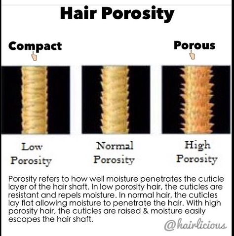 How your hair responds to moisture Hair Anatomy, Low Porosity Hair Care, Hair Science, Porous Hair, High Porosity Hair, Low Porosity Hair Products, Hair Care Regimen, Natural Hair Care Tips, Hair Regimen