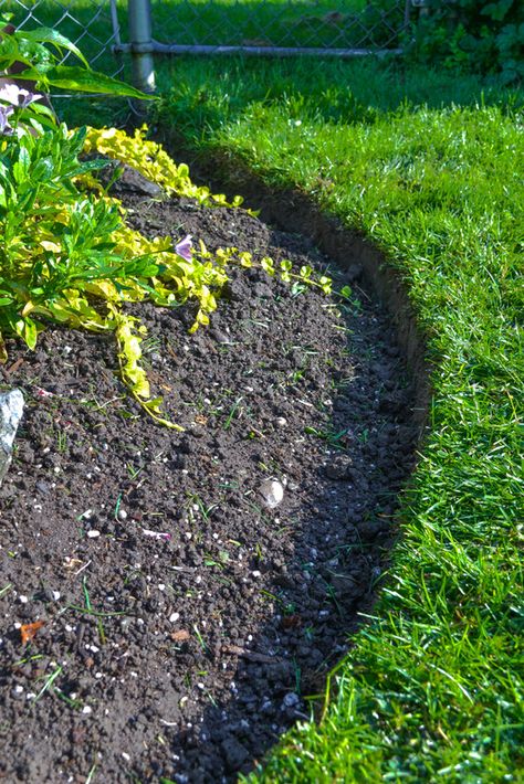 How to edge flowerbeds like a pro! via FunkyJunkInteriors.net Flower Bed Edging, Funky Junk Interiors, Landscape Edging, Lawn Edging, Garden Yard Ideas, Garden Edging, Funky Junk, Garden Borders, Garden Bed