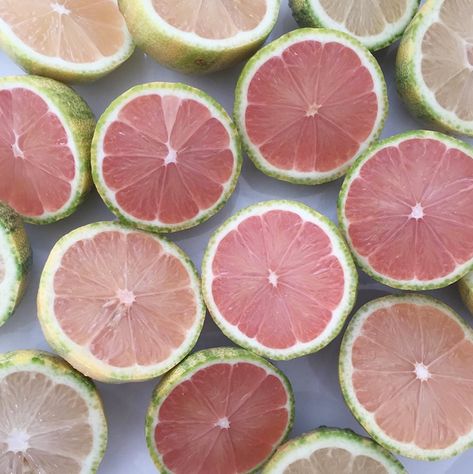 Try using pink eureka lemons in your morning water or make white coffee for an extra splash of cheery color. Eureka Lemon Tree, Eureka Lemon, Citrus Garden, Strawberry Bread, Unique Vegetables, Strawberry Garden, Strawberry Cake Recipes, Strawberry Lemon, Pink Lemon