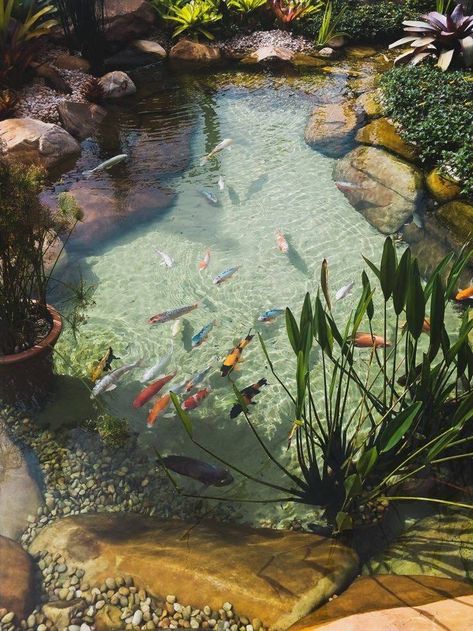 Fish Pond In Garden, Pond Decorating Ideas Landscaping, Natural Pond Ideas, Koi Pond Aesthetic, Pond In Backyard, Garden With Koi Pond, Garden Sleeve Tattoo, Backyard Koi Pond, Garden Koi Pond