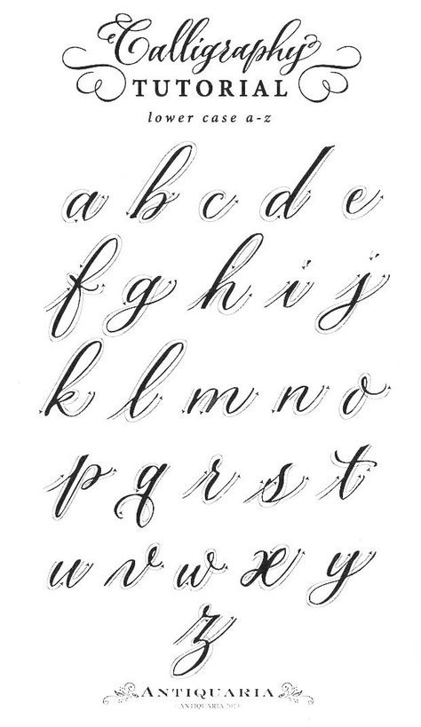 The Cursive Alphabet Is Shown In Black Ink And Has An Ornate Script  image and visual related images Different Cursive Styles, Coquette Alphabet, F Cursive, Cursive Z, Cursive Letters Font, Script Fonts Alphabet, Cursive Fonts Alphabet, Modern Calligraphy Alphabet, Cursive Writing Practice Sheets