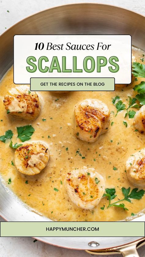 Are you tired of serving plain, boring scallops for dinner? Elevate your seafood game with the perfect sauce! From tangy citrus ginger to creamy romesco, we’ve got you covered with our list of the 10 best sauces for scallops. Not sure how to cook with sauces? Don’t worry, we’ve got tips for that too. So, let’s dive in and find your new favorite scallop sauce! Scallops With Vanilla Sauce, Scallop Sauce Recipes, Bay Scallops And Pasta, Scallops Sauce Recipe, Scallops Dinner Ideas, Sea Scallops Recipe, Scallop Sauce, Sauce For Scallops, Sauce For Seafood