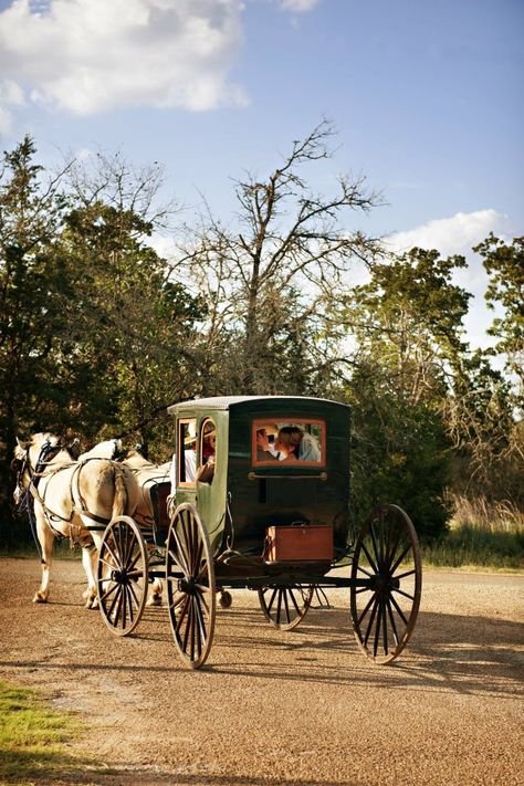 horse & carriage. Preferably in nature or in quaint little villages and towns as seen in Kerry Co, Ireland. Horse With Carriage, Carriage With Horse, Carriage Ride Aesthetic, Horse Drawn Carriage Aesthetic, Horse And Carriage Aesthetic, Horse And Buggy Carriage, Horse Carriage Aesthetic, 1800s Carriage, Carriage Aesthetic