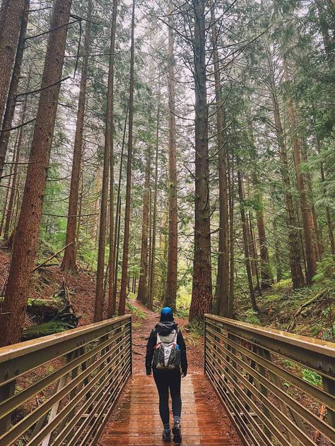 best backpack for a pnw packing list Pnw Trip, Explore City, Seattle Homes, Hiking National Parks, Pacific Nw, Water Reservoir, Day Hike, Outdoor Adventure, Pacific Northwest