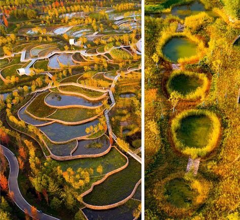 The environmental project The Handan Wastewater Cleansing Terraces is intended to transform a former landfill into a natural landscape with wetlands. A specially configured cascade system cleanses urban wastewater. An inhospitable wasteland will in this way become a park-like landscape, which is in addition accessible for teaching purposes. Turenscape was awarded Best of Best in the ICONIC AWARDS: Innovative Architecture. Urban Forest Design, Terraced Landscaping, Retail Architecture, Industrial Garden, Wetland Park, Lampang, Stadium Design, Urban Forest, Innovative Architecture