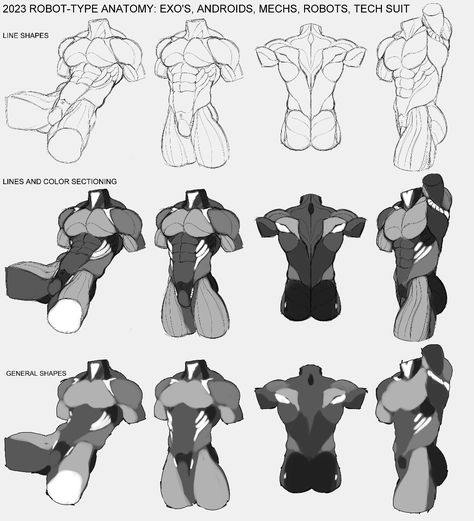 Muscle Anatomy Reference Female, Male Upper Body Reference, Back References Male, Male Back Reference, Character Design Ideas, Oc Character Design, Male Anatomy, Oc Character, Anatomy Tutorial