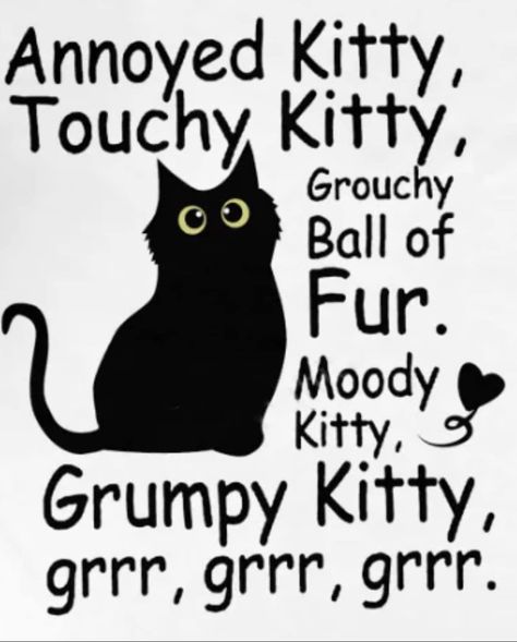 Grumpy Kitty, Grumpy Cat Quotes, Cat Language, Cat Quotes Funny, Black Cat Art, Cartoon Quotes, Cat Quotes, Funny Cute Cats, Grumpy Cat