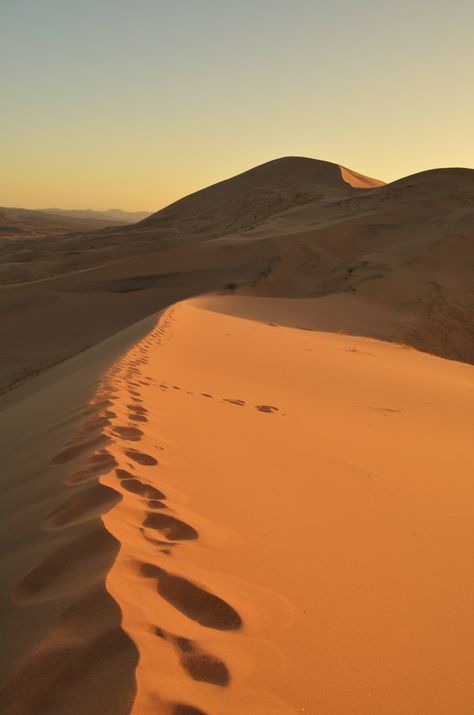 Leave Only Footprints, Desert Area, Muslim Images, California Living, Sand Dunes, Travel Inspo, Canvas Art Painting, Top View, Beautiful World