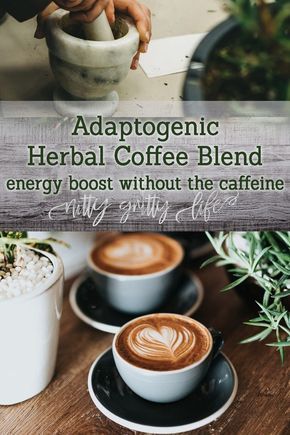 Herbal Coffee Recipe, Bitter Herbs, Herbal Coffee, Coffee Substitute, Tea Drinks, Healing Foods, Coffee Alternative, Herbal Drinks, Mushroom Coffee