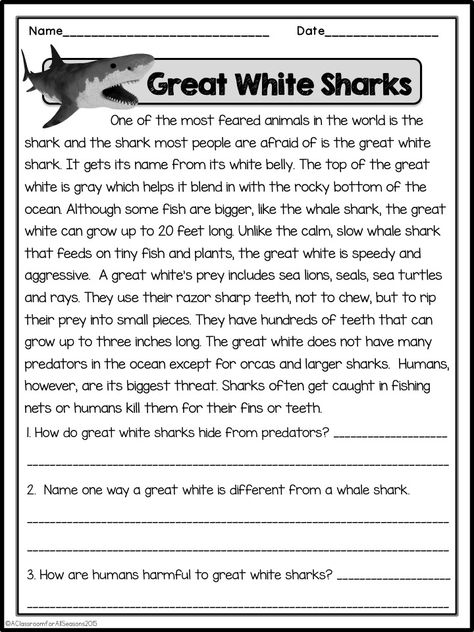 Reading Comprehension Passages - Classroom Freebies Read And Recall Worksheet, Non Fiction Reading Comprehension, Grade 3 Reading Comprehension Passages, Comprehension For Grade 4 With Questions, Comprehension For Class 4, Comprehension For Class 3, Grade 6 Reading Comprehension Worksheets, Grade 4 Reading Comprehension Worksheets, Grade 4 Reading