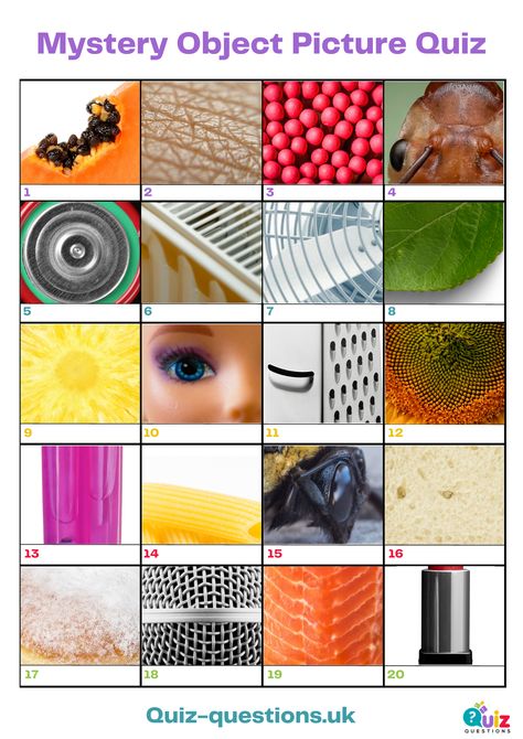 Mystery Object Quiz Picture Quizzes With Answers, Picture Quiz Questions And Answers Free, Picture Quiz Questions And Answers, Guess The Picture Game, Christmas Picture Quiz, Happy Friday Humour, College Instructor, Quiz Ideas, Question And Answer Games